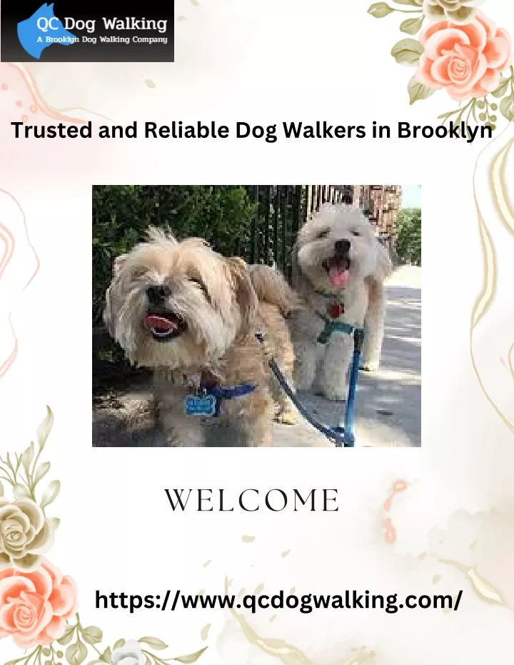 trusted and reliable dog walkers in brooklyn