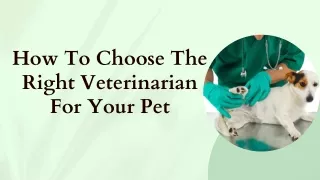 How To Choose The Right Veterinarian For Your Pet