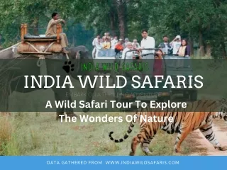 Explore Wildlife Wonders with Gir National Park Tour Packages