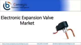 Electronic Expansion Valve Market