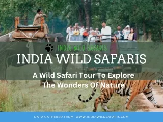 Ranthambore Safari Booking - India Wild Safaris