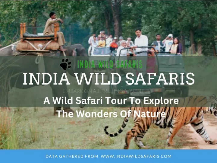 india wild safaris embark on a thrilling