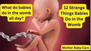 Exploring Prenatal Development: What Do Babies Do in the Womb?