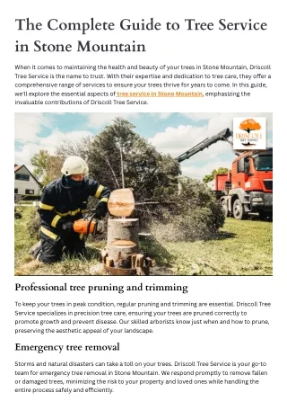 The Complete Guide to Tree Service in Stone Mountain