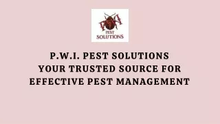 Effective Best Pest Control in Freeport Maine