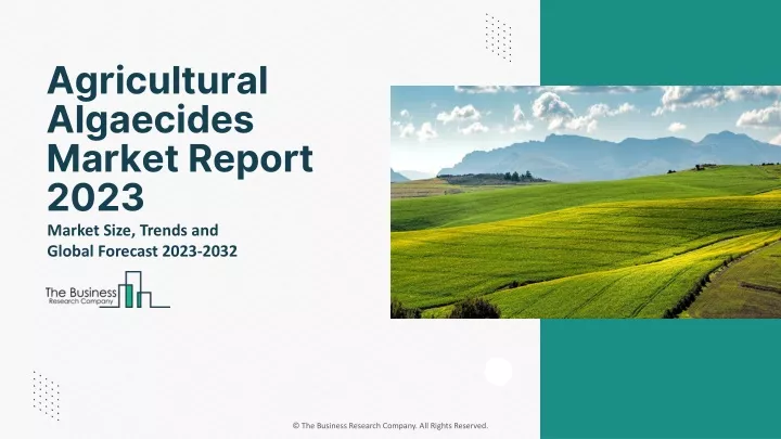 agricultural algaecides market report 2023