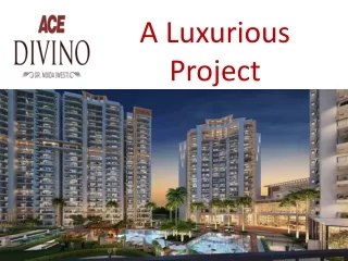 A Luxurious Project