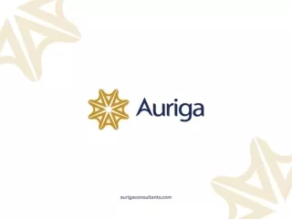 Auriga Consultants