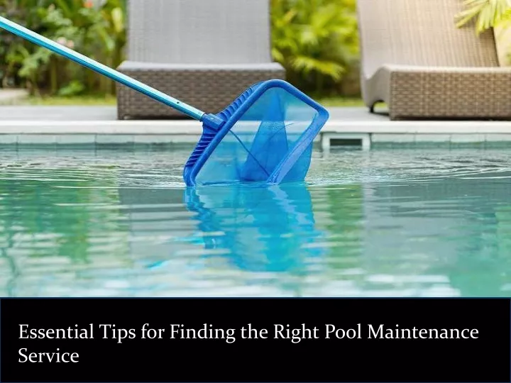 essential tips for finding the right pool