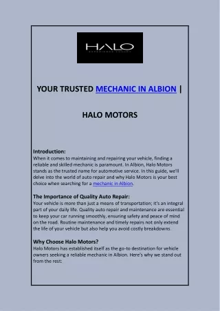 Mechanic in Albion _ Halo Motors.