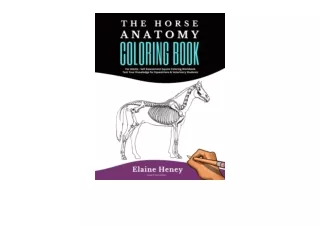 Kindle online PDF Horse Anatomy Coloring Book For Adults Self Assessment Equine