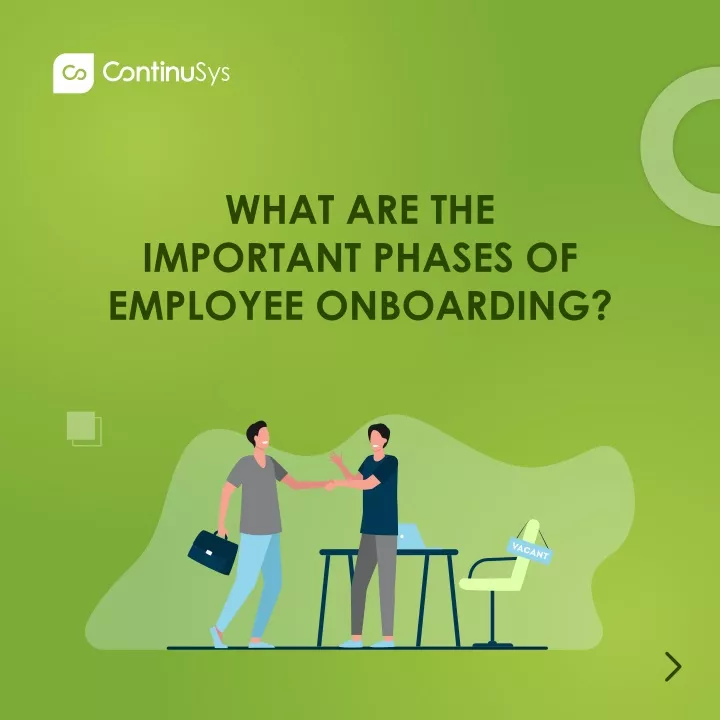 what are the important phases of employee