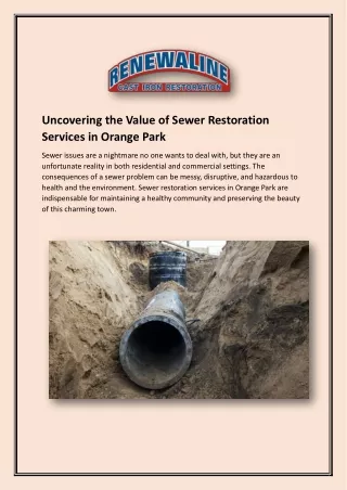 Renewaline: Revolutionizing Trenchless Pipe Repair in Florida
