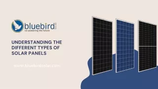 Types of Solar Panels: What Is the Best Choice for You?