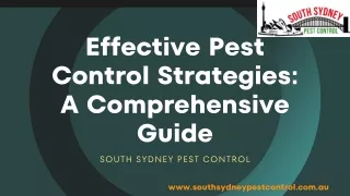 Effective Pest Control Strategies Pest Control Maroubra