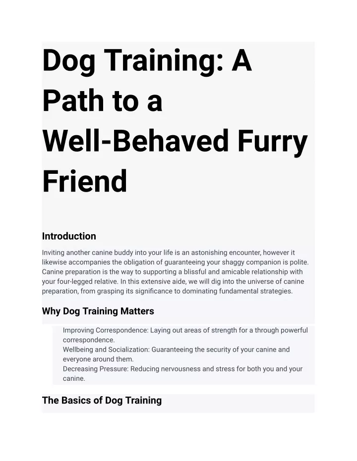 dog training a path to a well behaved furry friend
