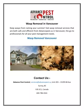 Wasp Removal in Vancouver