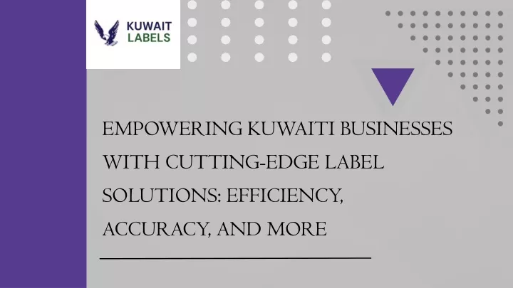 empowering kuwaiti businesses with cutting edge
