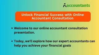Online Accountant Consultation