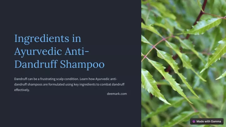 ingredients in ayurvedic anti dandruff shampoo