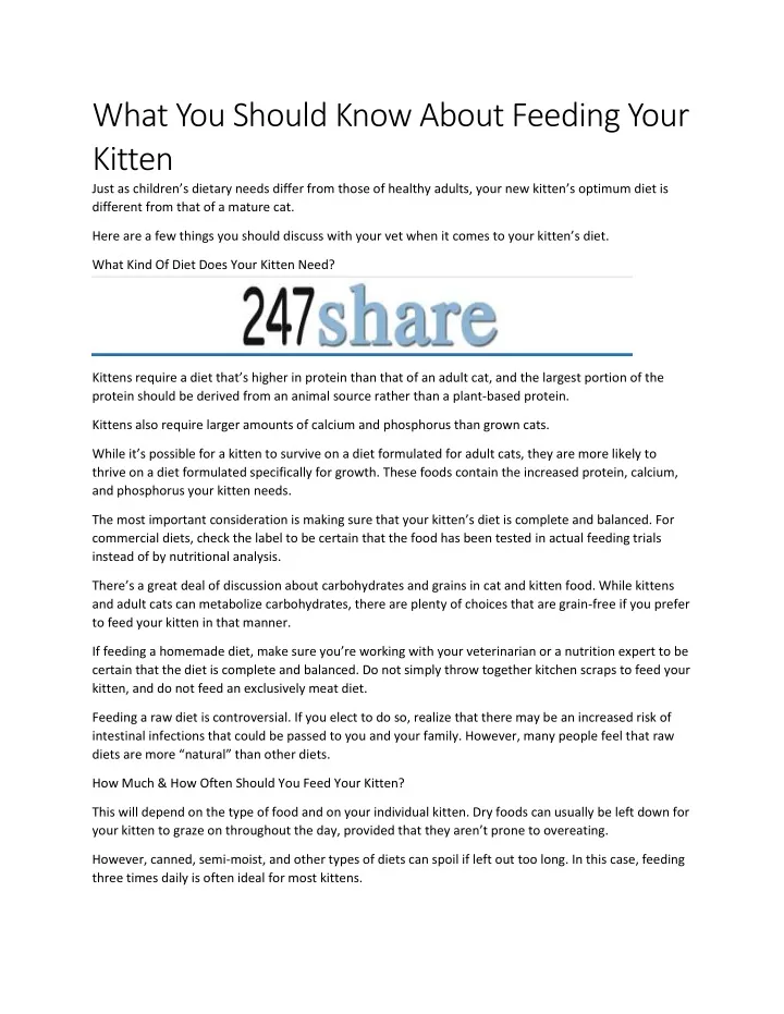 what you should know about feeding your kitten