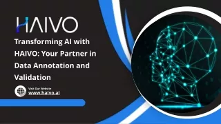 Transforming AI with HAIVO: Your Partner in Data Annotation and Validation