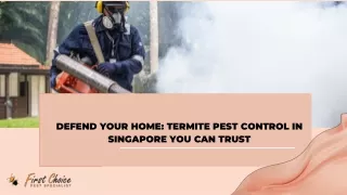 Defend Your Home: Termite Pest Control in Singapore You Can Trust