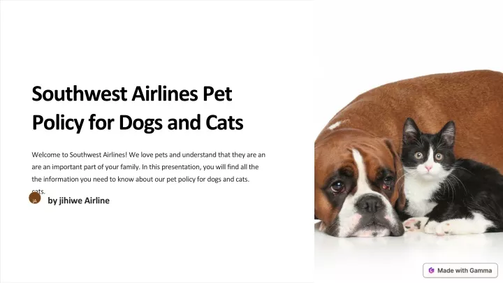 southwest airlines pet policy for dogs and cats