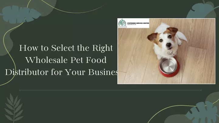 how to select the right wholesale pet food