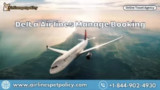 online travel agency