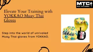 Elevate Your Training with YOKKAO Muay Thai Gloves