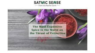 The Most Expensive Spice in the World on the Threat of Extinction