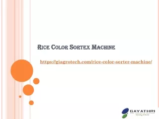 rice color sortex machine