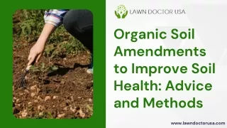 Organic Soil Amendments to Improve Soil Health Advice and Methods
