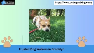 Walking with Care - Trusted Dog Walkers in Brooklyn