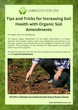 Tips and Tricks for Increasing Soil Health with Organic Soil Amendments