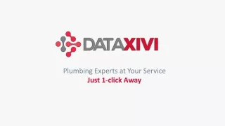 Explore the Plumbers in the United States | 2024 Updated - DataXiVi