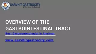 Overview of the Gastrointestinal Tract-  Best Gastroenterologist in Amritsar