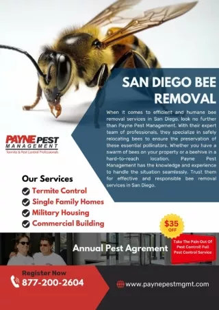 San diego Bee Removal