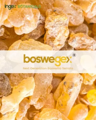 Boswellia extract from Ingex Botanicals Boswellia_Boswegex