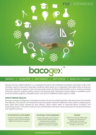 Presenting Bacogex – The advanced Bacopa extract from Ingex Botanicals