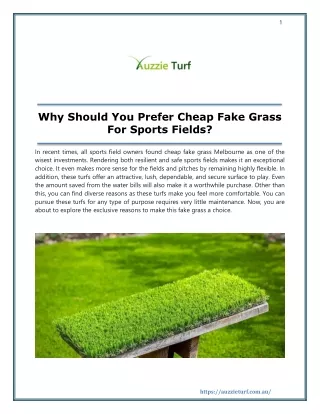 Why Should You Prefer Cheap Fake Grass For Sports Fields?