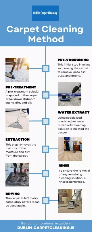 Informative Infographic - Best Carpet Cleaning Method