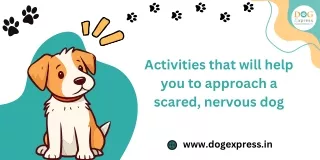 How to Approach a Scared, Nervous or Worried Dog