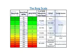 The Borg Scale