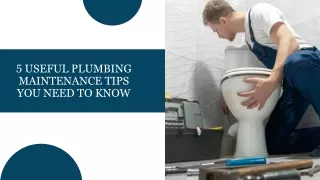 5 Useful Plumbing Maintenance Tips You Need to Know