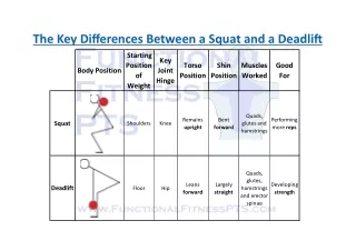 The Key Differences Between a Squat and a Deadlift