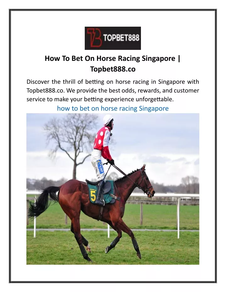 how to bet on horse racing singapore topbet888 co