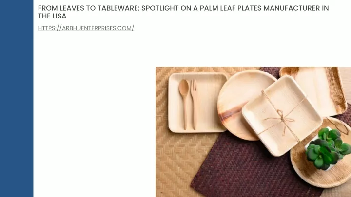 from leaves to tableware spotlight on a palm leaf