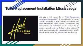 toilet replacement installation mississauga